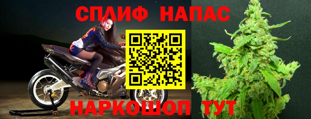 Каннабис планчик Горячий Ключ